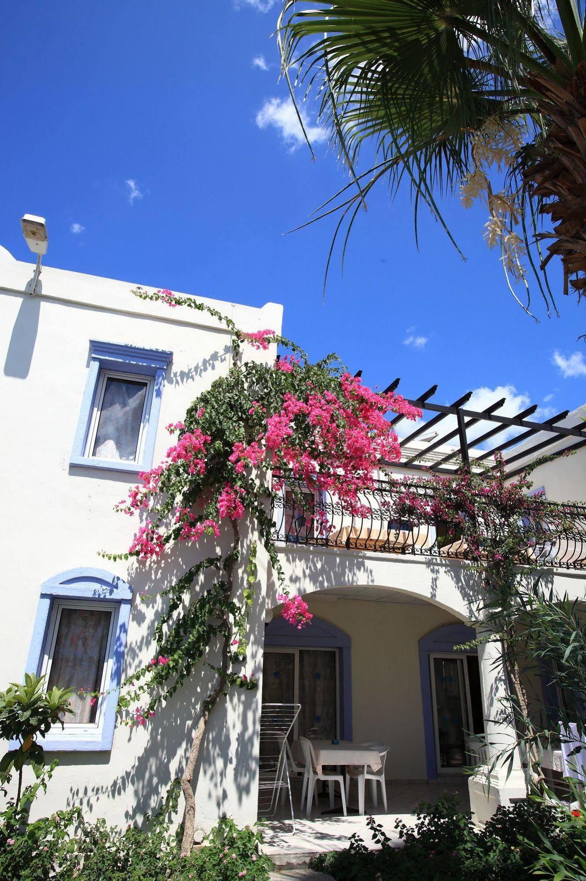 Club Paloma Apartment Gümbet Exterior foto